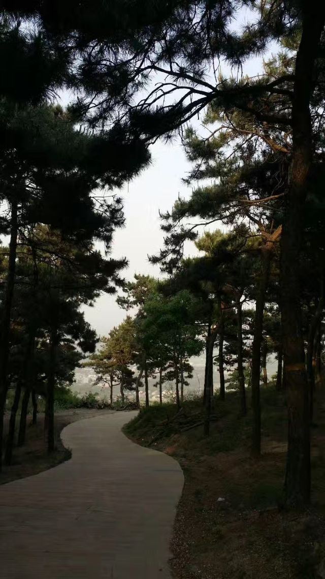 昆山市城市生态森林公园旅行图片 3