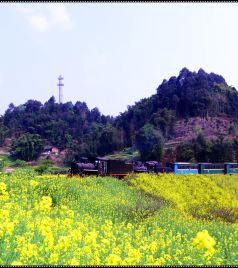 犍为游记图文-向春天出发——2019,3，自驾，踏春（四）广元、乐山、犍为、西昌。