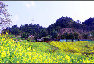 向春天出发——2019,3,自驾,踏春(四)广元、乐山、犍为、西昌。