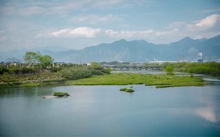 松阳香茶,踏上春日的路,茶园里最美的骑行线路!