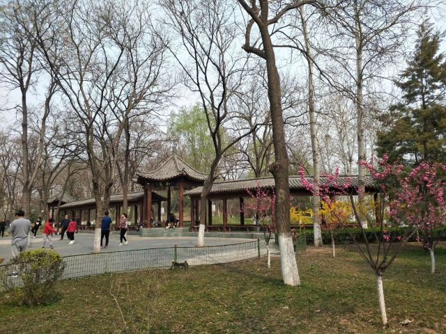 兴隆公园旅行图片 2