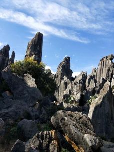 李子箐石林-石林-卢湾申花魂