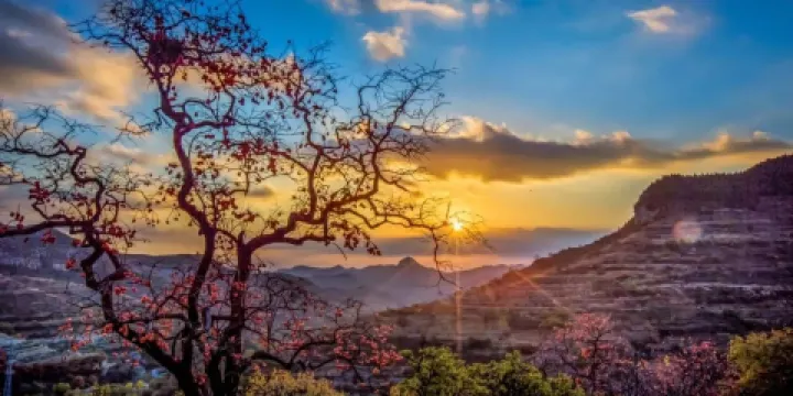 青州柿子溝景區