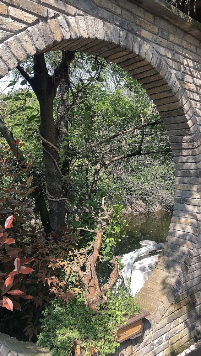 刘园古徽州文化园旅行图片 9