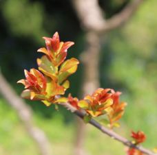 和平公园-上海-无目的闲逛