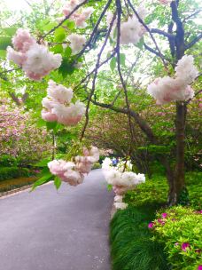 杨浦公园-上海-jack的旅行故事