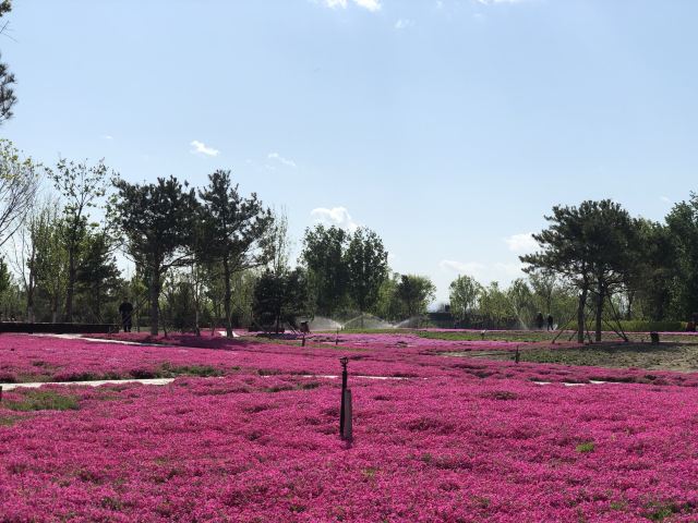 奥北森林公园二期北区旅行图片 1