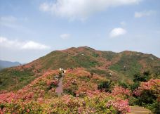 大围山国家森林公园-浏阳-秒懂风景