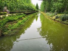 滨湖国家森林公园-合肥-享受生活2013