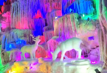 崇左龙宫仙境旅游区+峒那屿湾景区一日游【拼小团/私家团可选】【[用心服务]服务德天专线二十余载，绝无购物店，行程公开、透明、清晰，绝无套路！绝无任何强制性消费！】