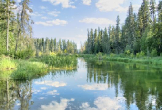 阿尔伯特王子国家公园景点图片