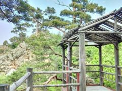 鸡东山水风光1日游