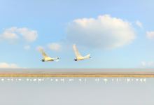 南昌鄱阳湖国家自然保护区景点图片