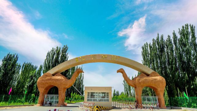 新和沙漠花海景区