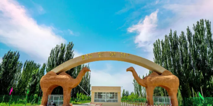 新和沙漠花海景區