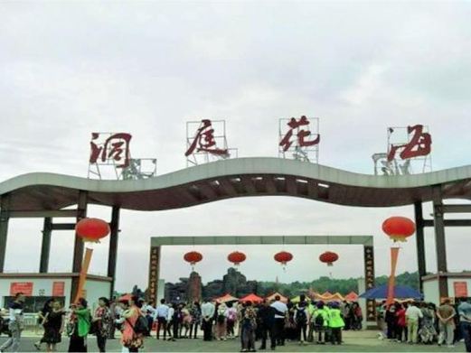 常德洞庭玫瑰花海