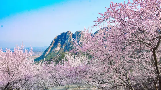北京後花園(白虎澗)風景區