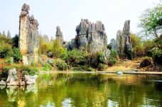 小石林景区-阿诗玛-石林-尊敬的会员