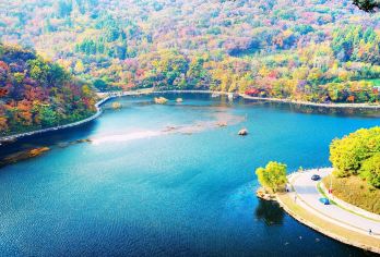 本溪关山湖一日游【踏春•赏景•亲子户外】【[体验赠送]萌宠动物乐园:小巧玲珑的原生态动物和自然相结合，目前有孔雀，羊驼，梅花鹿，天鹅等】