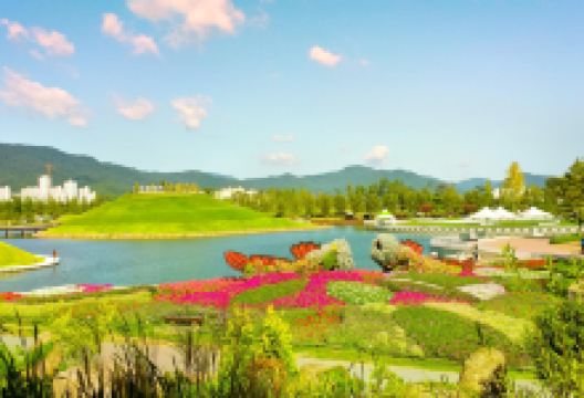 顺天湾自然生态公园景点图片