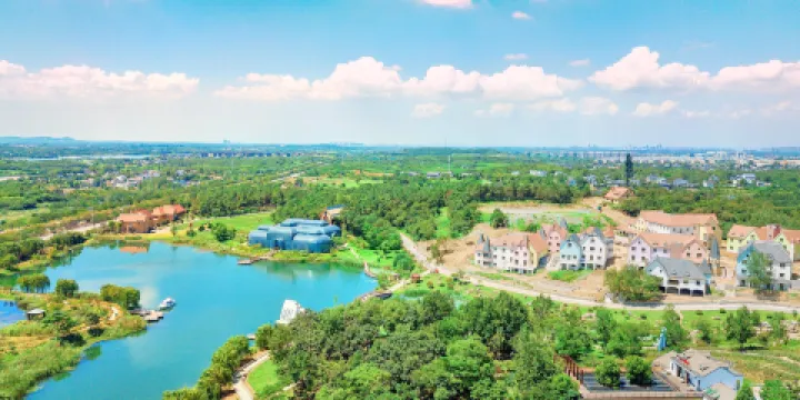 大塘金薰衣草莊園