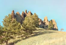 Settler's Park景点图片