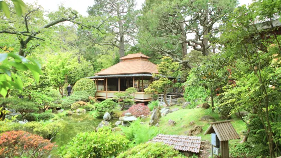 艾爾伯恩斯米勒日本花園