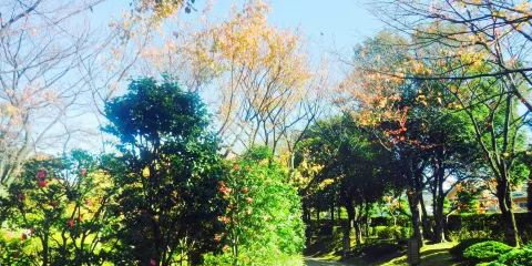 越谷市日本庭園花田苑