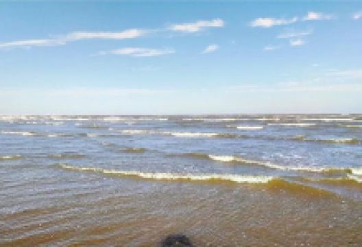 万宝赶海园景点图片