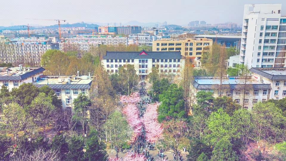 南京林业大学