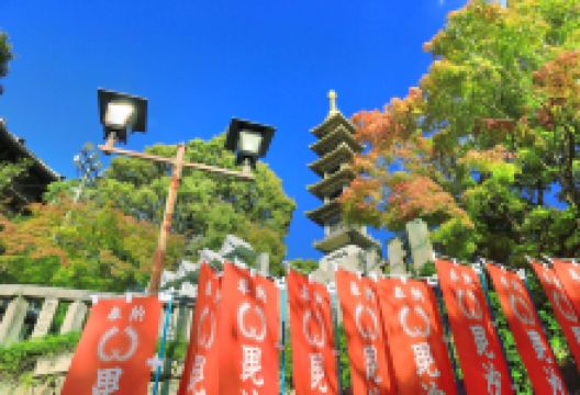 朝护孙子寺景点图片