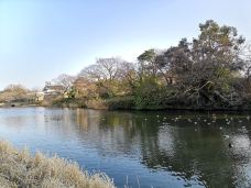 大濠公园-福冈-素素77