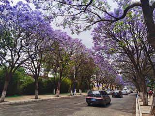 五一云南行之腾冲昆明记