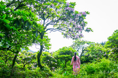 天台县游记图片] 天台山，唐朝400多诗人趋之若鹜，却错过这里的千年杜鹃