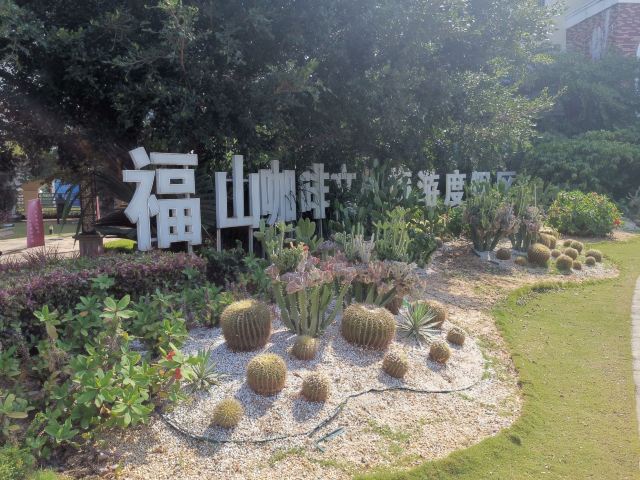 福山咖啡文化风情镇中心区旅行图片 1