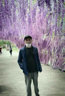 南大港湿地-黄骅-梧桐雨无语