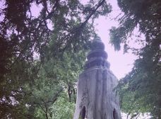 塔山-金边-小凌60