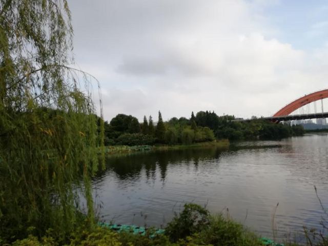 小湾河湿地公园旅行图片 2