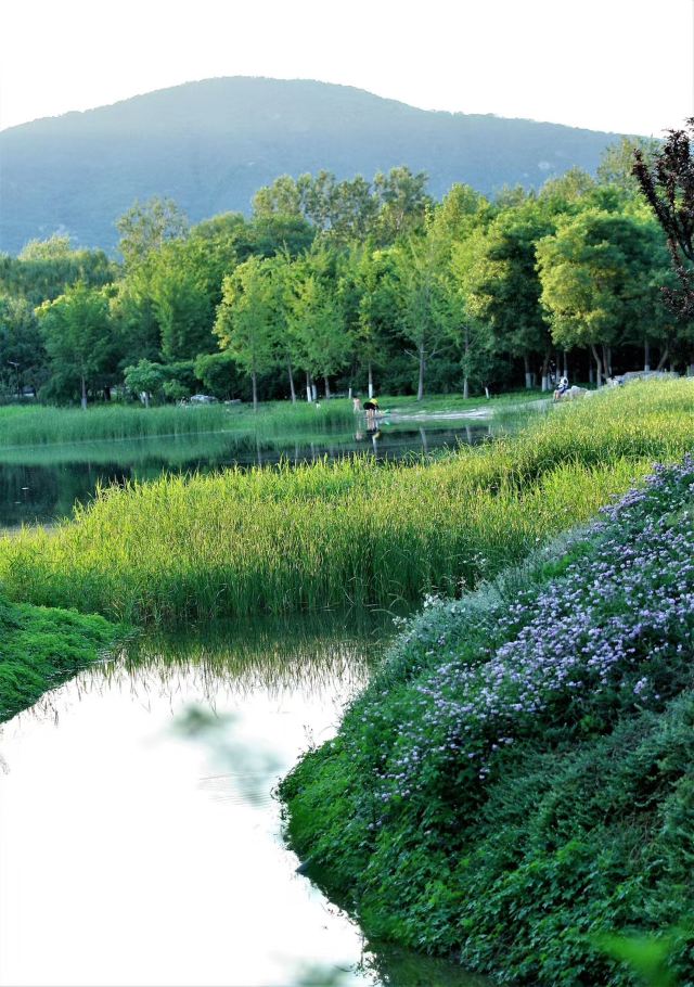 西山公园旅行图片 9