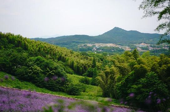 常州溧阳,隐藏在江、浙、皖三省交界处,却鲜少人知的宝藏村