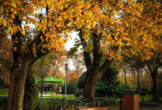 Laleh Park购物图片