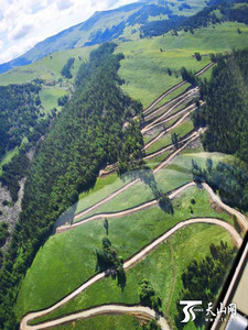 阿勒泰市游记图文-烟台西部明珠：8月 走这条路去喀纳斯 只要3小时！