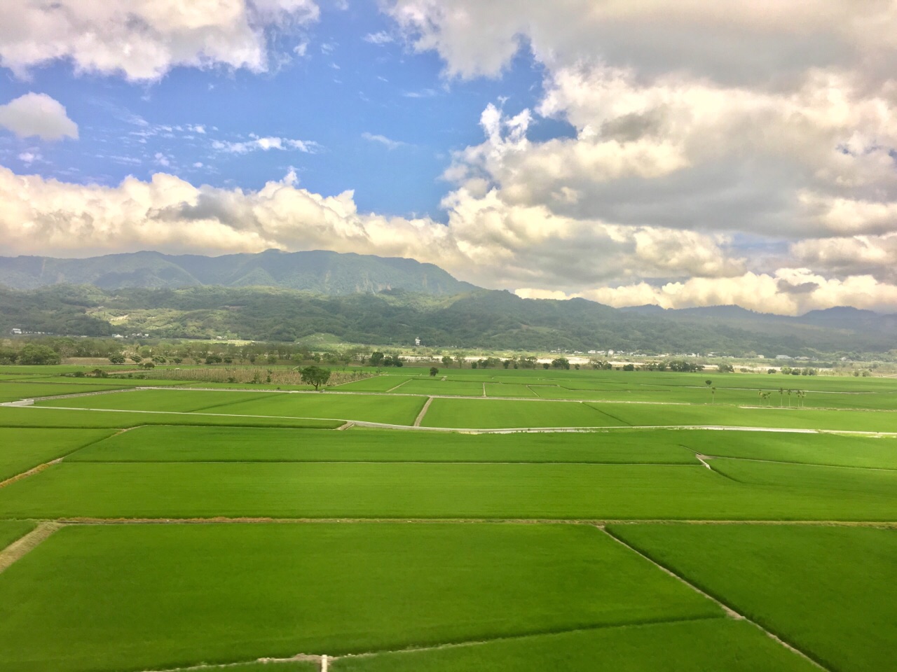 东河休闲农场