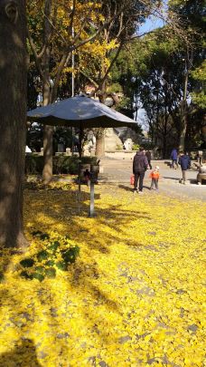 北塔报恩寺-苏州-貓貓達