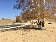 乌兰布统草原-克什克腾旗-说走咱就走啊-