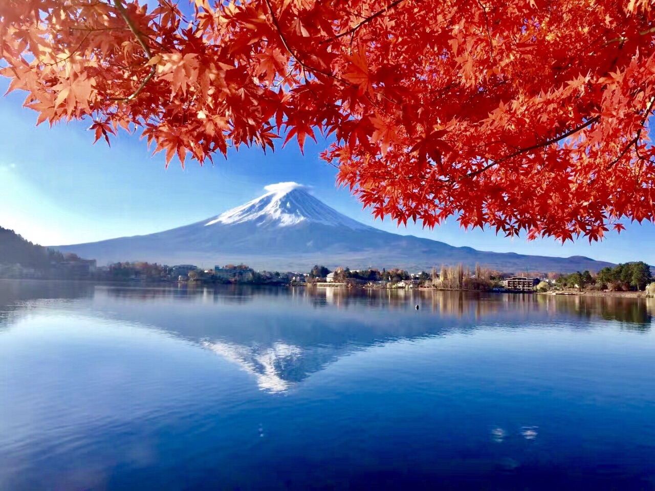 美丽的富士山🗻