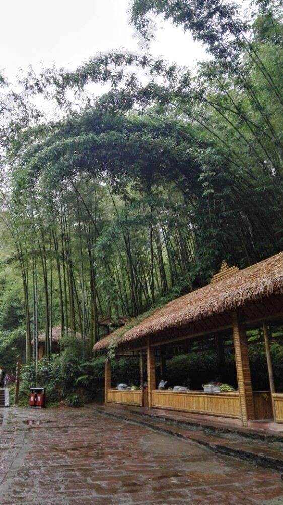 Shunan Zhuhai (“South Sichuan Bamboo Sea”) National Park