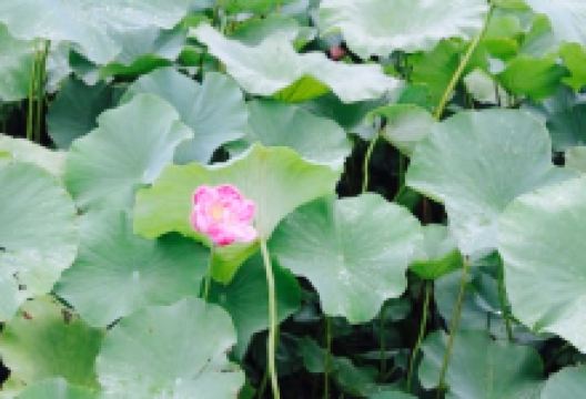 Baekjeui Jip美食图片