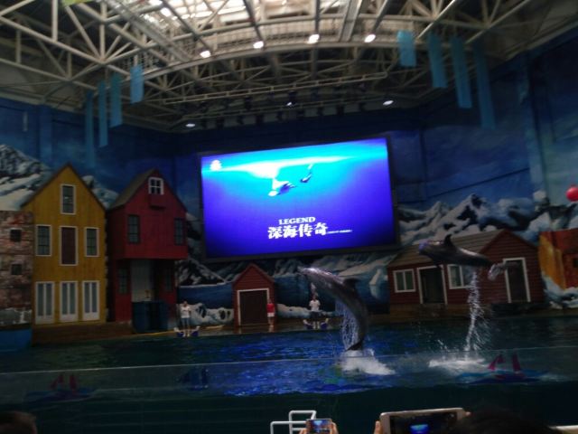 Qujiang Polar Ocean Park