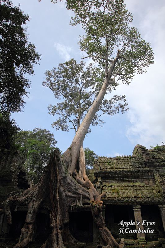 Preah Khan